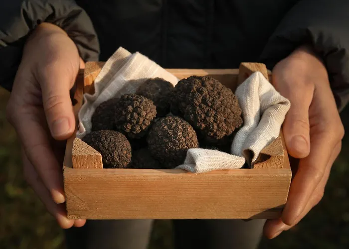 Mulino By Interhome Crnica