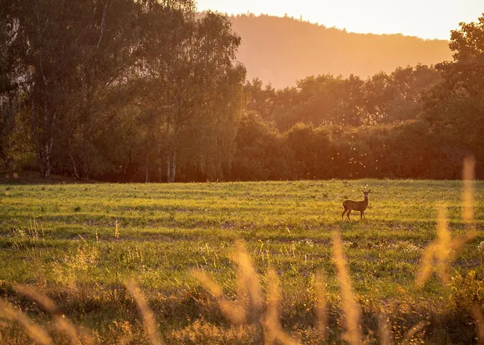 Mulino By Interhome *